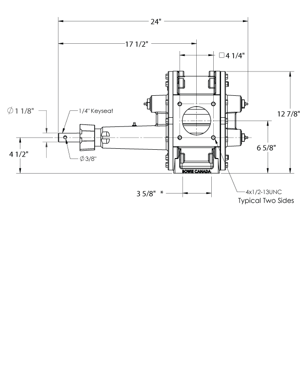 Signature 3300 Bowie Pumps